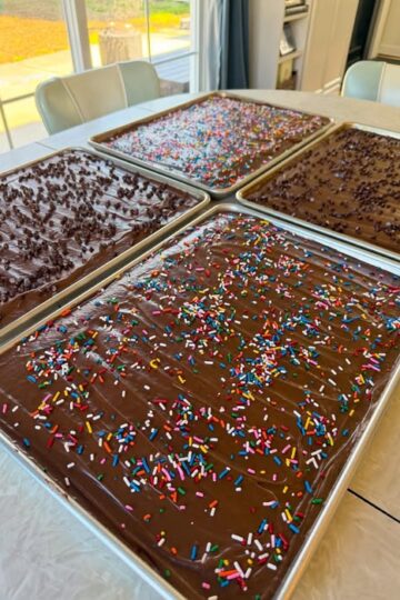 Amazing Texas Sheet Cake