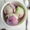 Ninja Creami Pistachio Cherry Ice Cream
