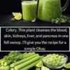 This plant cleans blood, skin, kidneys, liver and pancreas in one stroke. But do it this that i have shared in comment.. To keep getting my recipes, you just have to say something... Thank you!...