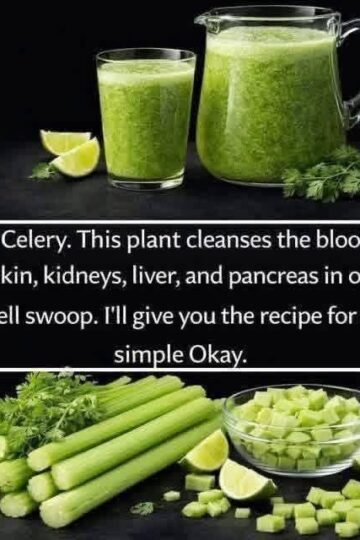 This plant cleans blood, skin, kidneys, liver and pancreas in one stroke. But do it this that i have shared in comment.. To keep getting my recipes, you just have to say something... Thank you!...