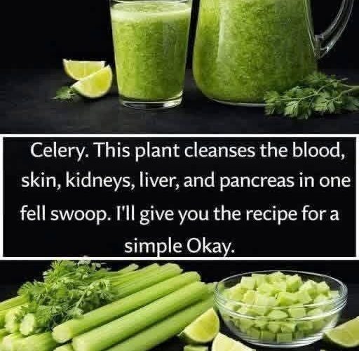 This plant cleans blood, skin, kidneys, liver and pancreas in one stroke. But do it this that i have shared in comment.. To keep getting my recipes, you just have to say something... Thank you!...