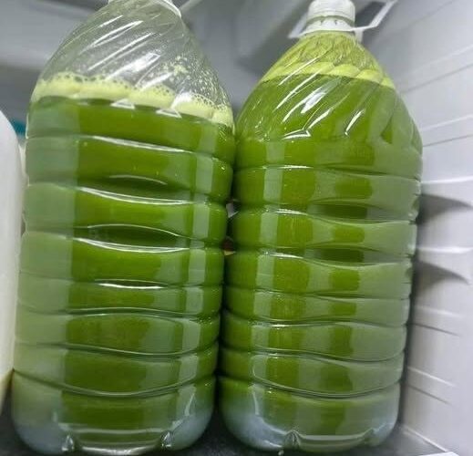 Homemade Fresh Green Juice